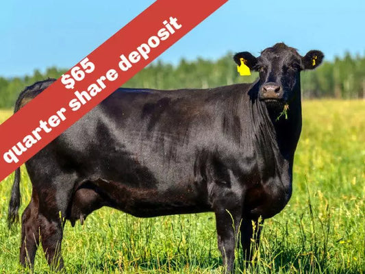 IT'S BACK: Local 100% All Natural American Wagyu Beef Cattle Shares Deposit