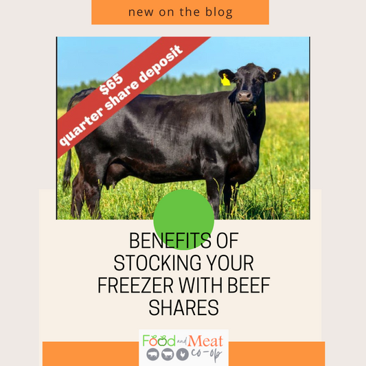 Benefits of Stocking Your Freezer with Beef Shares