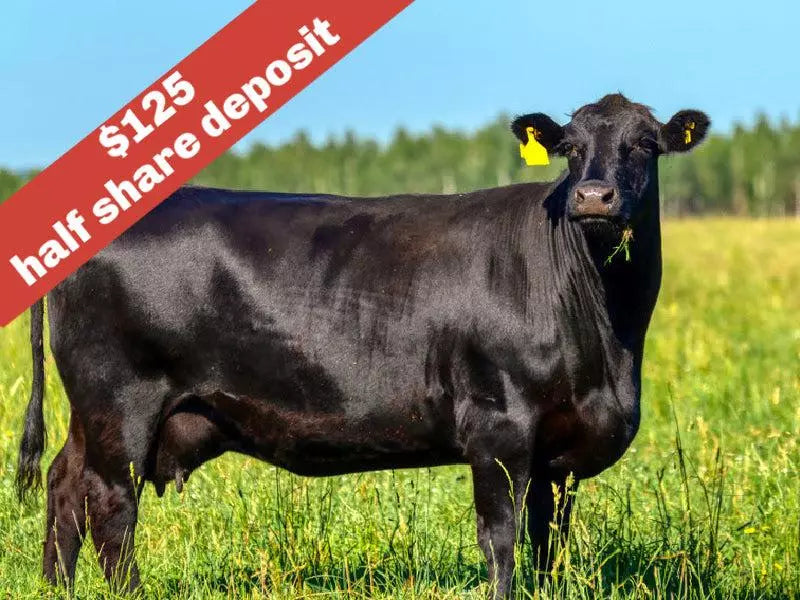 IT'S BACK: Local 100% All Natural American Wagyu Beef Cattle Shares Deposit