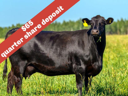 Local 100% All Natural American Wagyu Beef Cattle Shares Deposit