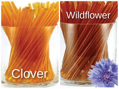 NEW: 50 Ct. Pack of Clover or Wildflower Honey Straw Sticks (Choose Flavor) from Idaho