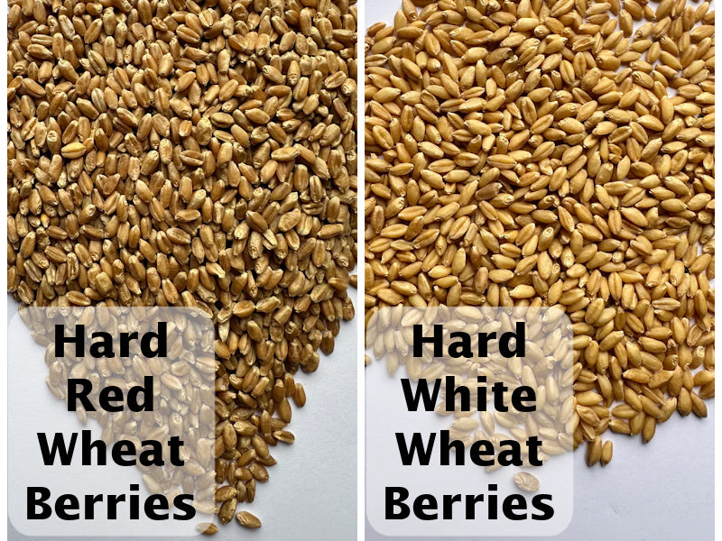 NEW: Local 25lb - 50LB Local Hard White and Red Wheat, Non-GMO, Pesticide Free