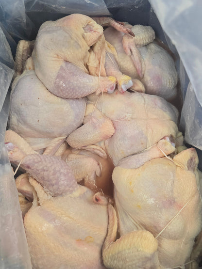 OVERSTOCK: Frozen 48-50lb Case Whole Natural Chickens, No Antibiotics Ever (Open Nature Brand - 10ct.)