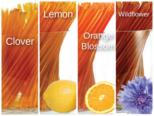 NEW: 50 Ct. Pack of Clover or Wildflower Honey Straw Sticks (Choose Flavor) from Idaho