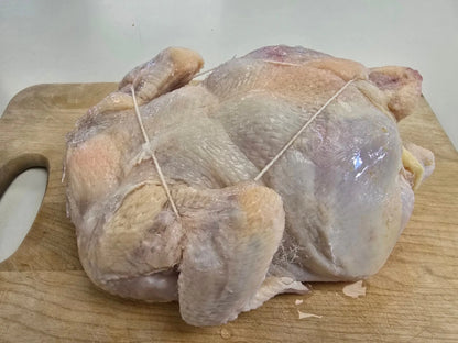 OVERSTOCK: Frozen 48-50lb Case Whole Natural Chickens, No Antibiotics Ever (Open Nature Brand - 10ct.)