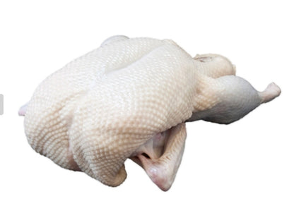 RESTOCKED: Case of 6 Natural Whole Duck - 4-4.25 Per Duck (About $5 per lb!)