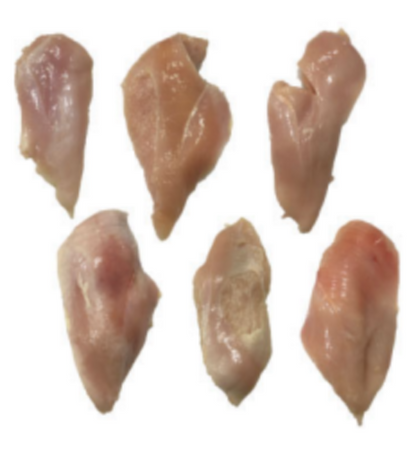 LIMITED TIME: 40 lbs ALL ORGANIC, Air Chilled, Boneless, Skinless, Random Chicken Breast Pieces