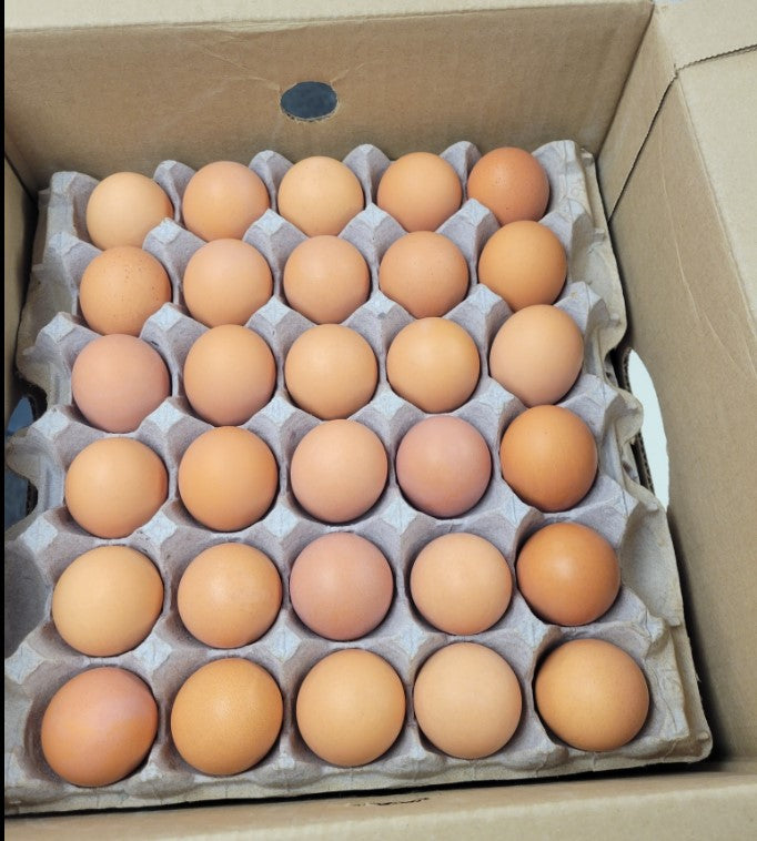 RESTOCKED: 15 Doz. Organic Free Range Large Brown Eggs,180 ct.  from Organic Valley