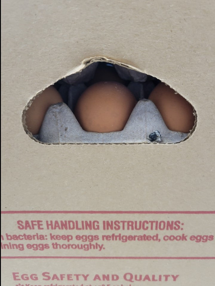 RESTOCKED: 15 Doz. Organic Free Range Large Brown Eggs,180 ct.  from Organic Valley