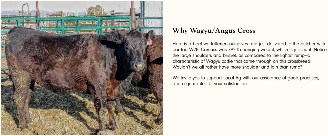 IT'S BACK: 10 lbs. Assorted Wagyu Mixed Box, Local, Pasture Raised - Bennion Beef, Vernon, UT
