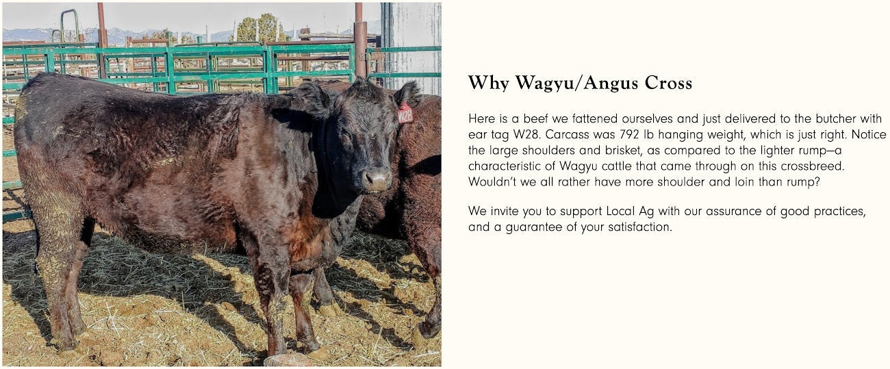 OVERSTOCK: 25 lbs. American-Wagyu Pasture Raised Ground Beef, Bennion Beef, Vernon, UT
